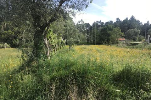 Helårsgrund i Valenca, Viana do Castelo, Valenca - € 60.000 | Ref: B2114 - foto 7