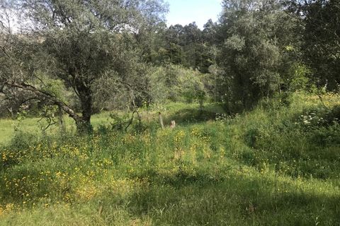 Helårsgrund i Valenca, Viana do Castelo, Valenca - € 60.000 | Ref: B2114 - foto 8