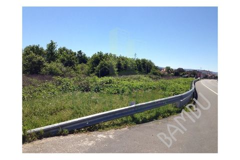 Helårsgrund i Gandra e Taiao, Viana do Castelo, Gandra e Taiao - € 215.000 | Ref: B1201 - foto 3