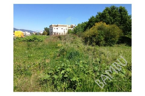 Helårsgrund i Gandra e Taiao, Viana do Castelo, Gandra e Taiao - € 215.000 | Ref: B1201 - foto 5