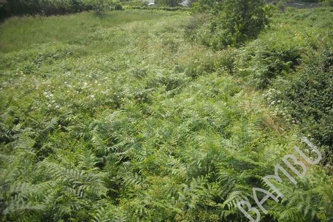 Helårsgrund i Valenca, Viana do Castelo, Valenca - € 45.000 | Ref: B0356 - foto 5