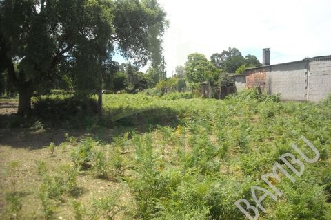 Helårsgrund i Valenca, Viana do Castelo, Valenca - € 45.000 | Ref: B0356 - foto 9