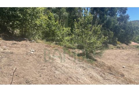 Helårsgrund i Gandra e Taiao, Viana do Castelo, Gandra e Taiao - € 39.500 | Ref: B0047 - foto 2