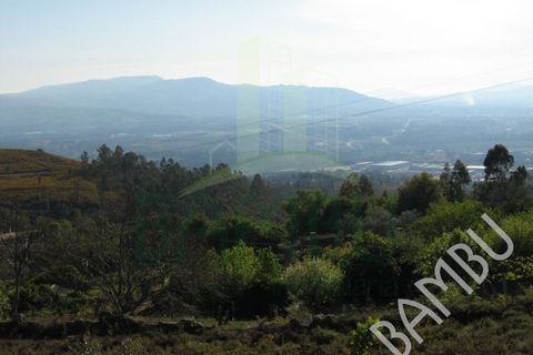 Helårsgrund i Gandra e Taiao, Viana do Castelo, Gandra e Taiao - € 39.500 | Ref: B0047 - foto 4