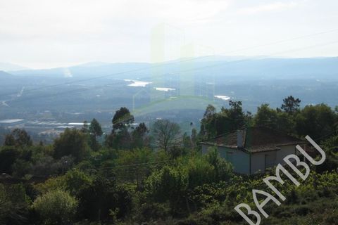 Helårsgrund i Gandra e Taiao, Viana do Castelo, Gandra e Taiao - € 39.500 | Ref: B0047 - foto 6
