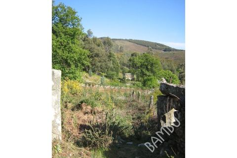 Helårsgrund i Gandra e Taiao, Viana do Castelo, Gandra e Taiao - € 39.500 | Ref: B0047 - foto 7