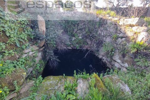 Farm i Castelo Branco, Castelo Branco, Castelo Branco - € 31.000 | Ref: 3792/RR-EM - foto 10