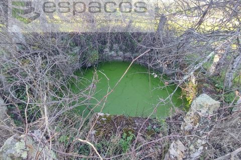 Farm i Castelo Branco, Castelo Branco, Castelo Branco - € 31.000 | Ref: 3792/RR-EM - foto 11