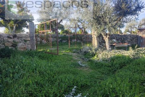 Farm i Castelo Branco, Castelo Branco, Castelo Branco - € 31.000 | Ref: 3792/RR-EM - foto 13