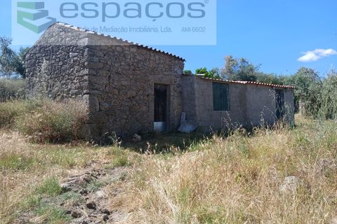 Farm i Castelo Branco, Castelo Branco, Castelo Branco - € 31.000 | Ref: 3792/RR-EM - foto 1