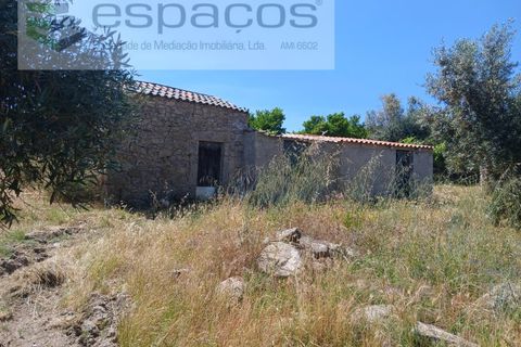Farm i Castelo Branco, Castelo Branco, Castelo Branco - € 31.000 | Ref: 3792/RR-EM - foto 3