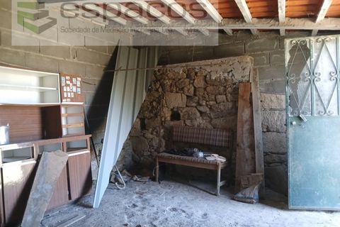 Farm i Castelo Branco, Castelo Branco, Castelo Branco - € 31.000 | Ref: 3792/RR-EM - foto 6