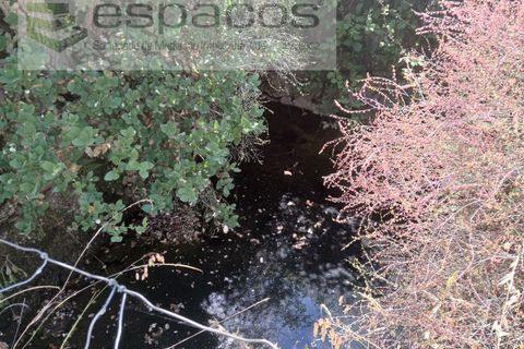 Farm i Castelo Branco, Castelo Branco, Castelo Branco - € 31.000 | Ref: 3792/RR-EM - foto 17