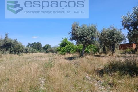 Farm i Castelo Branco, Castelo Branco, Castelo Branco - € 31.000 | Ref: 3792/RR-EM - foto 22