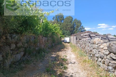 Farm i Castelo Branco, Castelo Branco, Castelo Branco - € 31.000 | Ref: 3792/RR-EM - foto 24