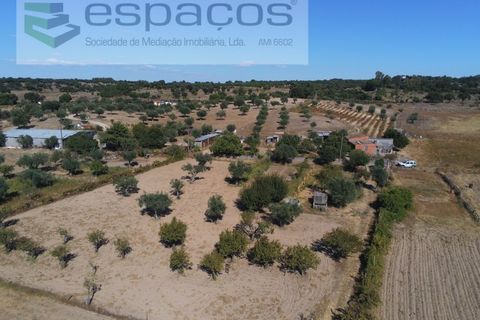 Farm i Castelo Branco, Castelo Branco, Castelo Branco - € 106.500 | Ref: 4383/RR-EM - foto 1