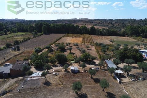 Farm i Castelo Branco, Castelo Branco, Castelo Branco - € 106.500 | Ref: 4383/RR-EM - foto 3