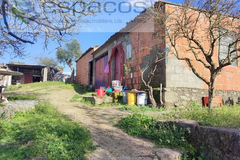 Farm i Castelo Branco, Castelo Branco, Castelo Branco - € 106.500 | Ref: 4383/RR-EM - foto 7