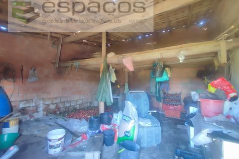 Farm i Castelo Branco, Castelo Branco, Castelo Branco - € 106.500 | Ref: 4383/RR-EM - foto 8