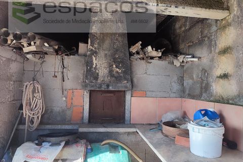 Farm i Castelo Branco, Castelo Branco, Castelo Branco - € 106.500 | Ref: 4383/RR-EM - foto 11