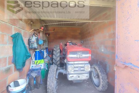 Farm i Castelo Branco, Castelo Branco, Castelo Branco - € 106.500 | Ref: 4383/RR-EM - foto 14