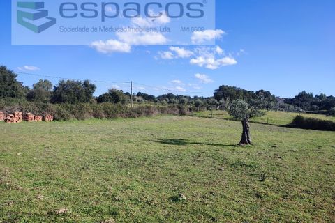 Farm i Castelo Branco, Castelo Branco, Castelo Branco - € 106.500 | Ref: 4383/RR-EM - foto 15