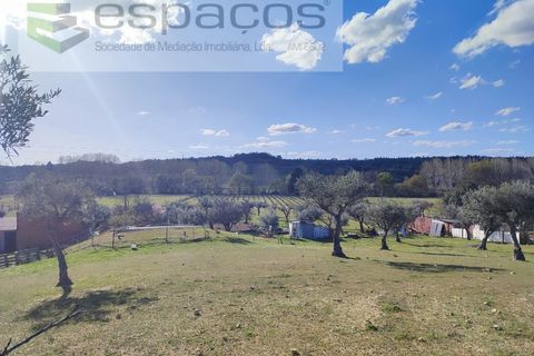 Farm i Castelo Branco, Castelo Branco, Castelo Branco - € 106.500 | Ref: 4383/RR-EM - foto 16