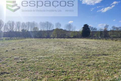 Farm i Castelo Branco, Castelo Branco, Castelo Branco - € 106.500 | Ref: 4383/RR-EM - foto 22