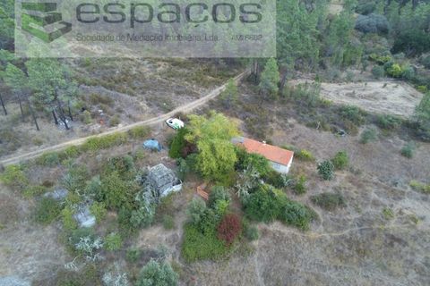Farm i Castelo Branco, Castelo Branco, Castelo Branco - € 45.500 | Ref: 4388/RR-EM - foto 2