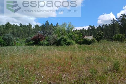 Farm i Castelo Branco, Castelo Branco, Castelo Branco - € 45.500 | Ref: 4388/RR-EM - foto 20