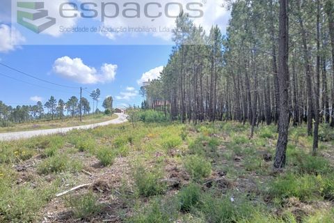 Farm i Castelo Branco, Castelo Branco, Castelo Branco - € 45.500 | Ref: 4388/RR-EM - foto 17