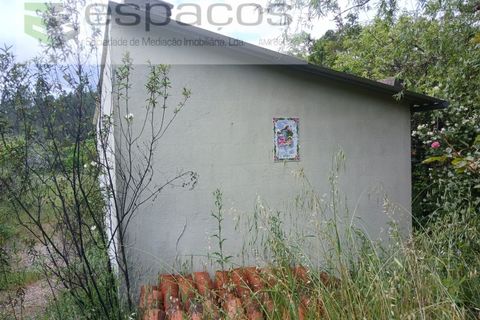 Farm i Castelo Branco, Castelo Branco, Castelo Branco - € 45.500 | Ref: 4388/RR-EM - foto 8