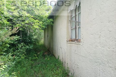 Farm i Castelo Branco, Castelo Branco, Castelo Branco - € 45.500 | Ref: 4388/RR-EM - foto 7