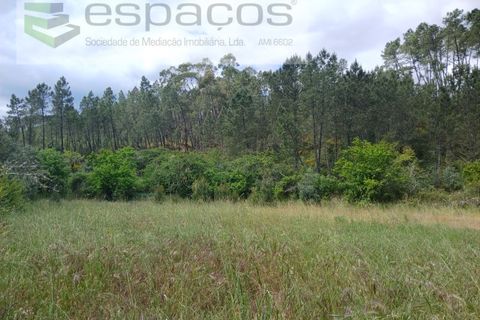 Farm i Castelo Branco, Castelo Branco, Castelo Branco - € 45.500 | Ref: 4388/RR-EM - foto 23