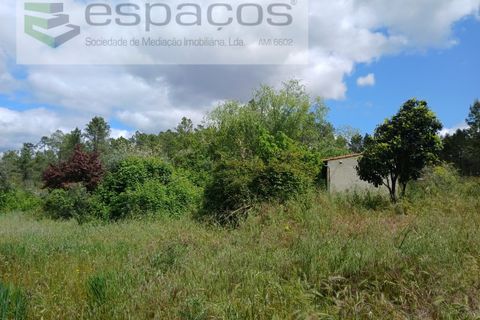 Farm i Castelo Branco, Castelo Branco, Castelo Branco - € 45.500 | Ref: 4388/RR-EM - foto 24