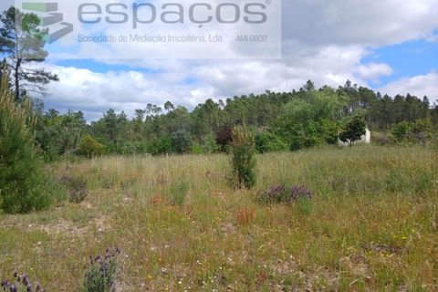Farm i Castelo Branco, Castelo Branco, Castelo Branco - € 45.500 | Ref: 4388/RR-EM - foto 5