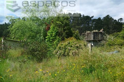 Farm i Castelo Branco, Castelo Branco, Castelo Branco - € 45.500 | Ref: 4388/RR-EM - foto 4