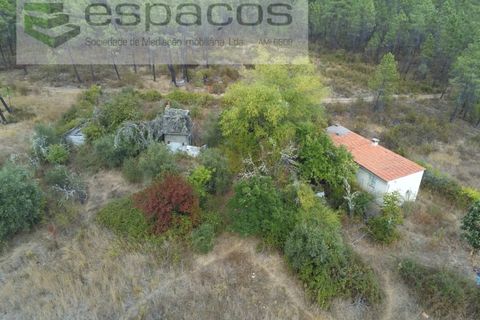 Farm i Castelo Branco, Castelo Branco, Castelo Branco - € 45.500 | Ref: 4388/RR-EM - foto 3