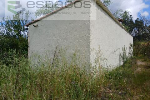 Farm i Castelo Branco, Castelo Branco, Castelo Branco - € 45.500 | Ref: 4388/RR-EM - foto 12