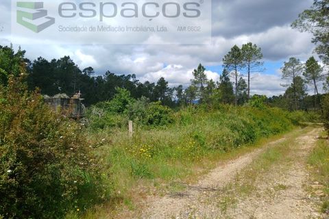 Farm i Castelo Branco, Castelo Branco, Castelo Branco - € 45.500 | Ref: 4388/RR-EM - foto 18