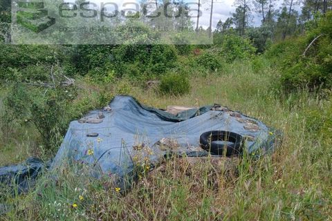 Farm i Castelo Branco, Castelo Branco, Castelo Branco - € 45.500 | Ref: 4388/RR-EM - foto 22