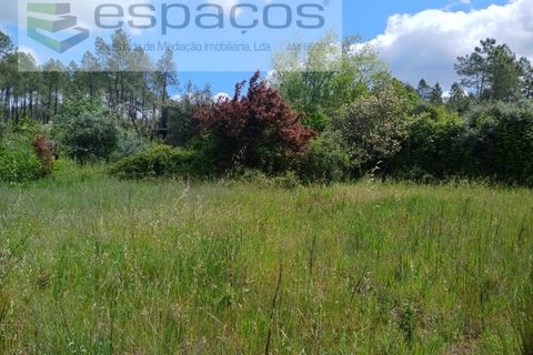 Farm i Castelo Branco, Castelo Branco, Castelo Branco - € 45.500 | Ref: 4388/RR-EM - foto 25