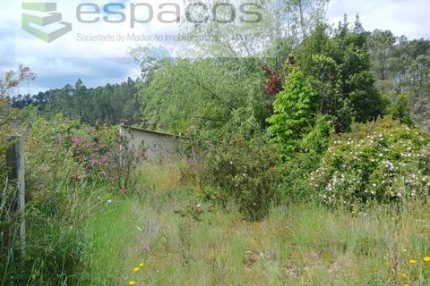 Farm i Castelo Branco, Castelo Branco, Castelo Branco - € 45.500 | Ref: 4388/RR-EM - foto 31