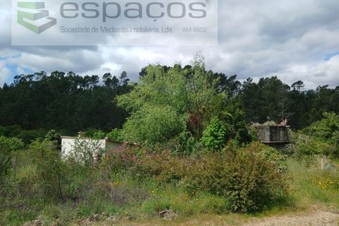 Farm i Castelo Branco, Castelo Branco, Castelo Branco - € 45.500 | Ref: 4388/RR-EM - foto 32