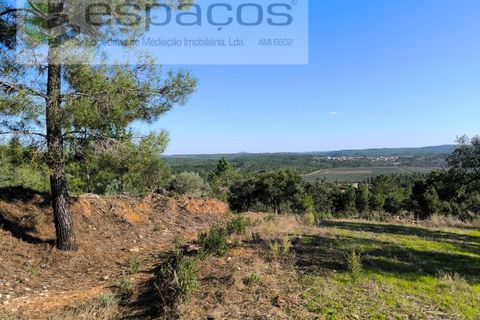 Helårsgrund i Castelo Branco, Castelo Branco, Castelo Branco - € 6.850 | Ref: 4412/EG - foto 6