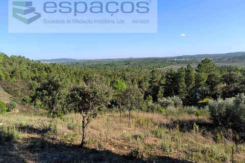 Helårsgrund i Castelo Branco, Castelo Branco, Castelo Branco - € 6.850 | Ref: 4412/EG - foto 7