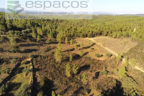 Helårsgrund i Castelo Branco, Castelo Branco, Castelo Branco - € 6.850 | Ref: 4412/EG - foto 13