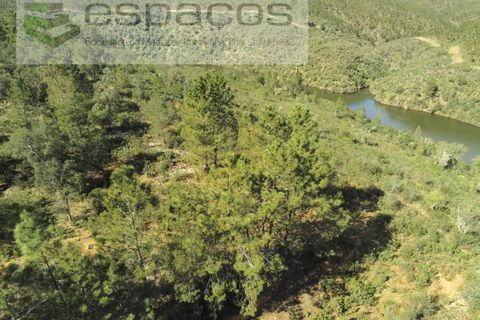 Helårsgrund i Castelo Branco, Castelo Branco, Castelo Branco - € 12.750 | Ref: 3770/MR - foto 1