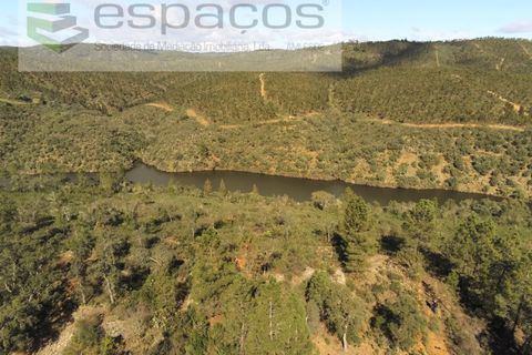 Helårsgrund i Castelo Branco, Castelo Branco, Castelo Branco - € 12.750 | Ref: 3770/MR - foto 2