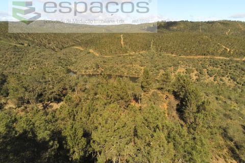 Helårsgrund i Castelo Branco, Castelo Branco, Castelo Branco - € 12.750 | Ref: 3770/MR - foto 3